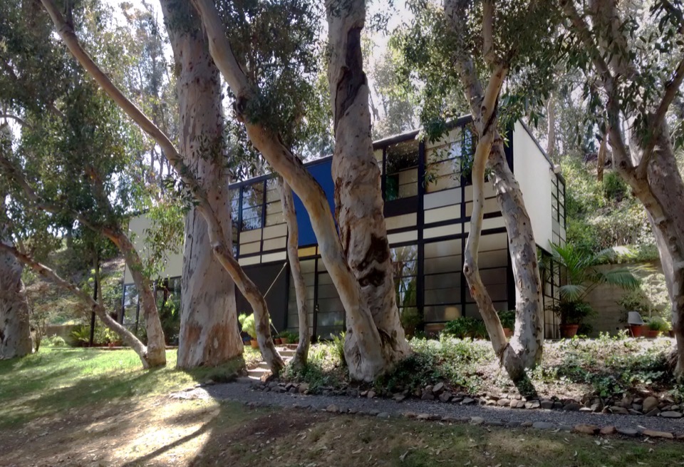 The Eames House, Case Study House No. 8, steel frame and coloured panels among eucalyptus
